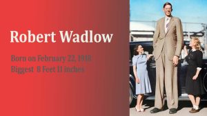 Statue Honoring Robert Wadlow – The Tallest Man in the World